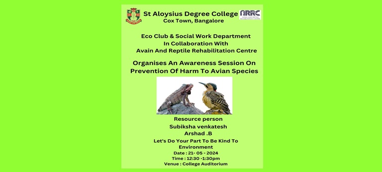 Second slide
